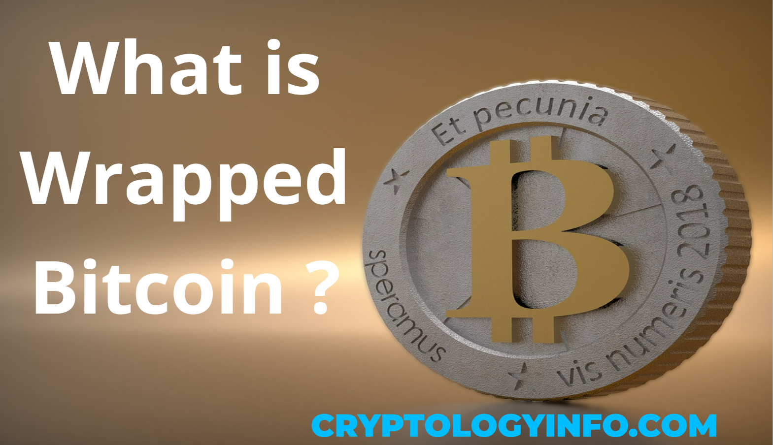 What is Wrapped Bitcoin ?
